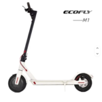 Model M1 Adult Electric Scooter