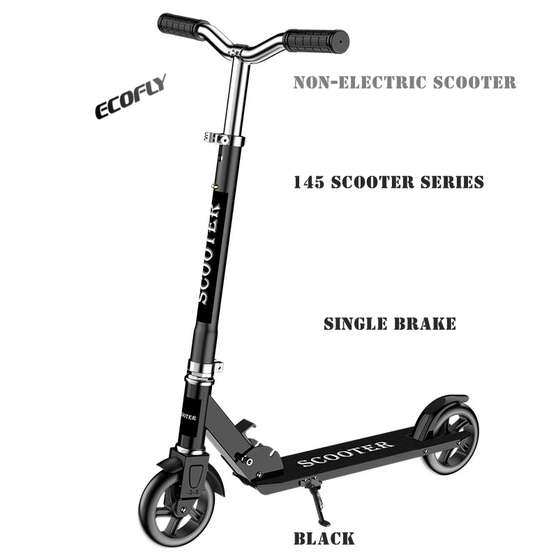Popular Kick Scooter and Roller Scooter for Teenage Kids Two-Wheel Kick Scooter